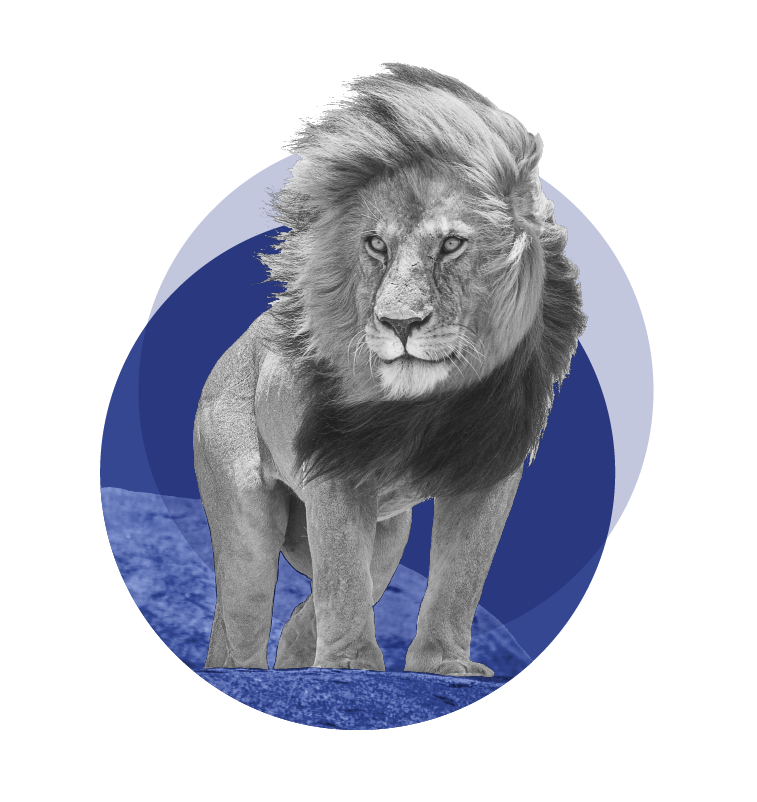 Confiant comme un lion